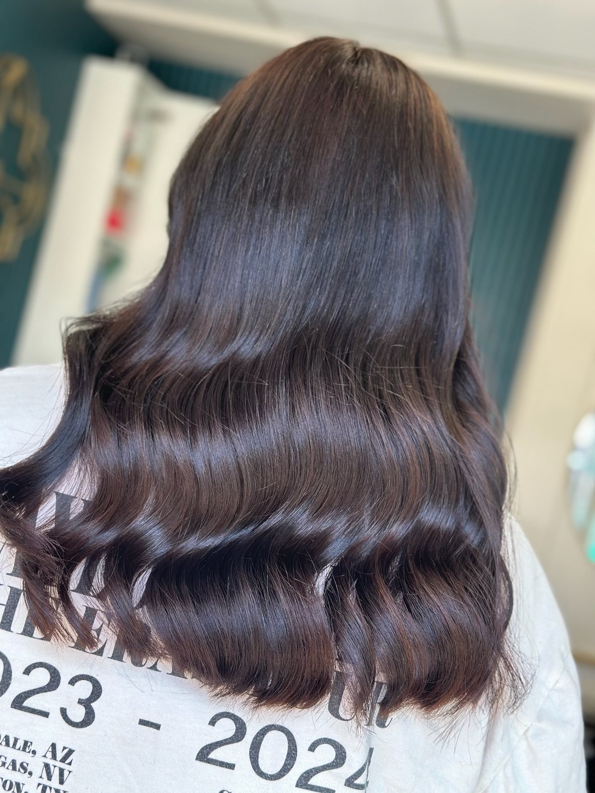 Glossy dark brunette hair colour at ELM Hair and Beauty, Wrexham